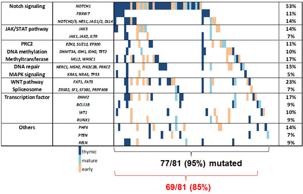 Mutational landscape of adult T-ALL.