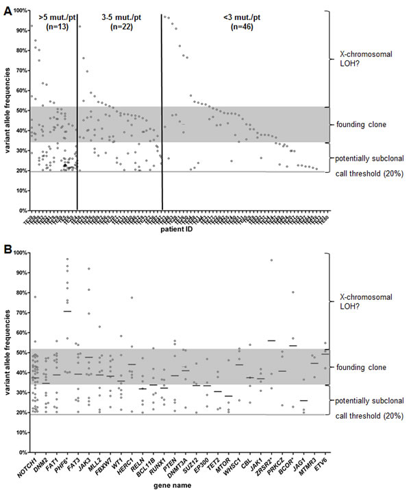 Variant allele frequencies (VAFs) of each individual patient (A) and each gene (B) are shown.