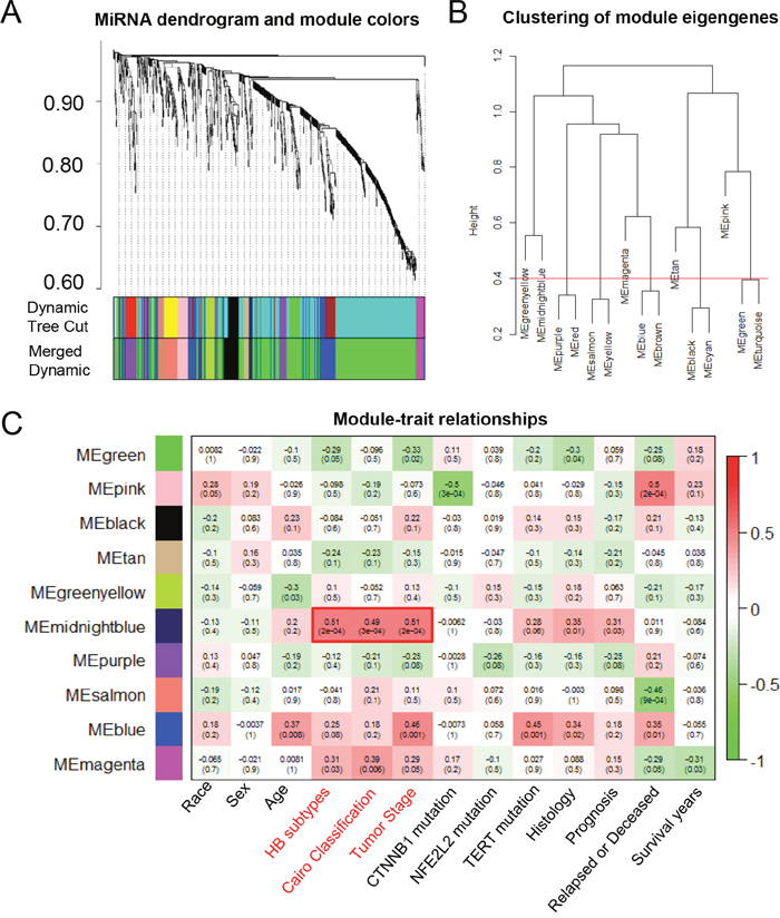 The WGCNA analysis of the malignant phenotype-associated miRNAs.