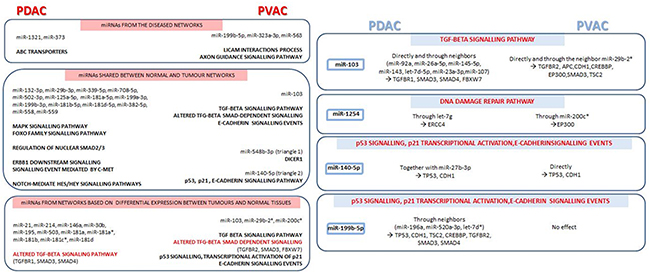 Main signalling pathways, together with miRNAs and respective target genes, emerged from microRNA co-expression networks in pancreatic ductal adenocarcinoma (PDAC) compared to Vater&#x2019;s papilla adenocarcinoma (PVAC).