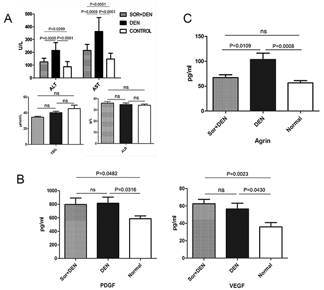 The effects of sorafenib on biochemical parameters in rats induced to develop HCC using DEN.