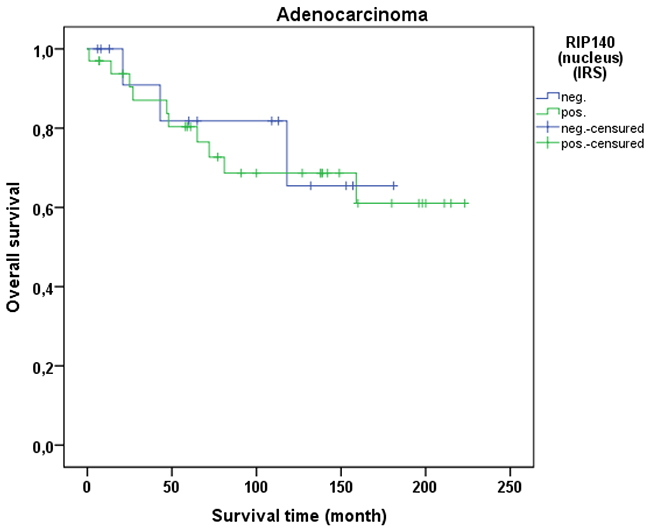 OS of patients with cervix adenocarcinomas with low and high RIP140 expression.