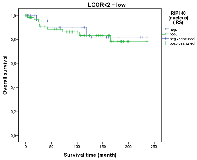 OS in patients with cervical cancer and low LCoR expression classified by positive (n=58) and negative (n=28) RIP140 status.