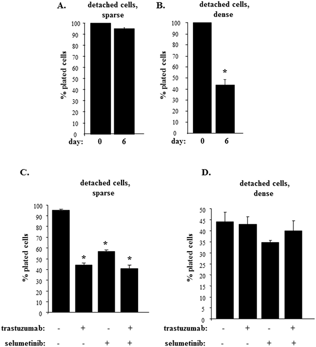 Trastuzumab sensitivity is blocked by an increased density of detached breast tumor cells.