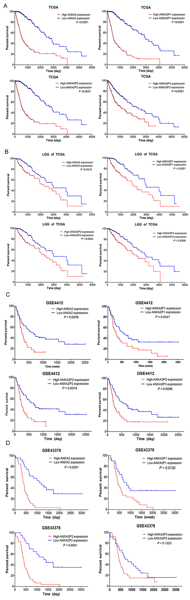 Highly expressed ANXA2 and ANXA2 pseudogenes associated with poor OS for glioma patients.