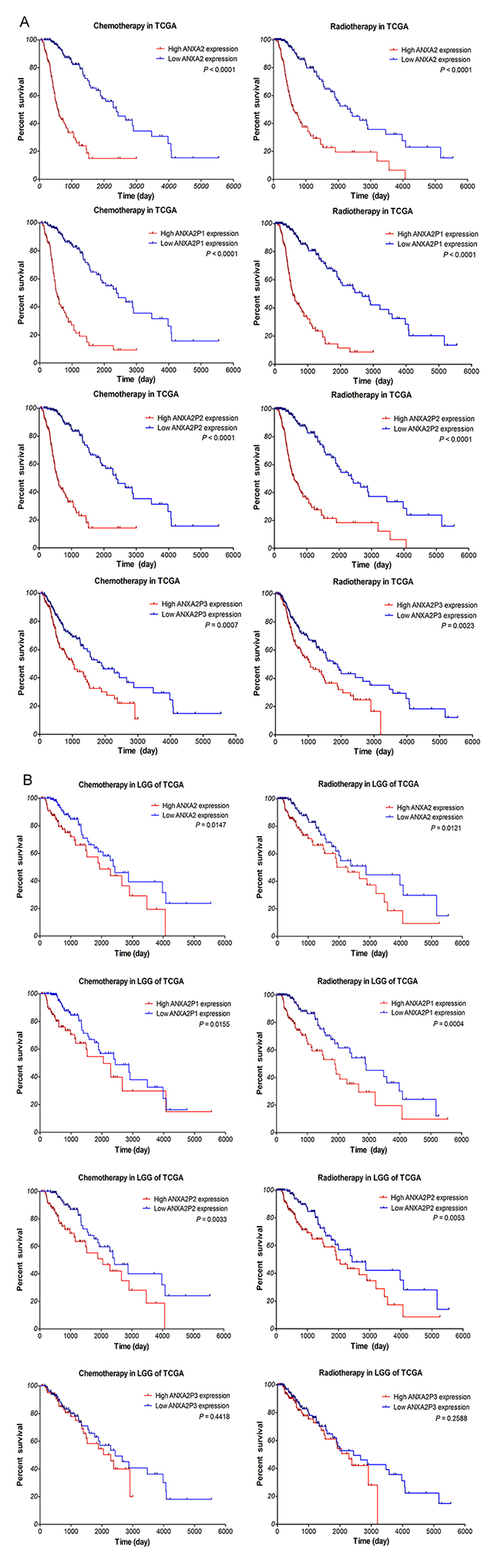 Kaplan&ndash;Meier survival curve analysis of glioma patients with chemotherapy or radiotherapy based on the expression of ANXA2 and ANXA2 pseudogenes.