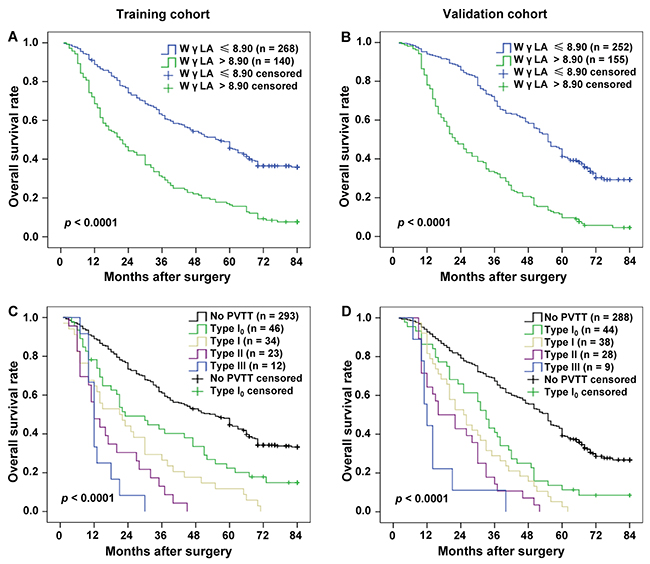 Kaplan&#x2013;Meier estimated survival curves by the W&#x03B3;AL level and PVTT type in the training and validation cohort.