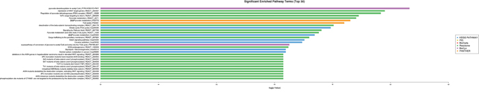 Pathway analysis of 22 genes.