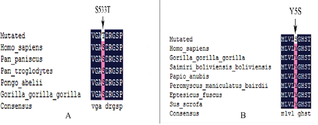 Figure 5: