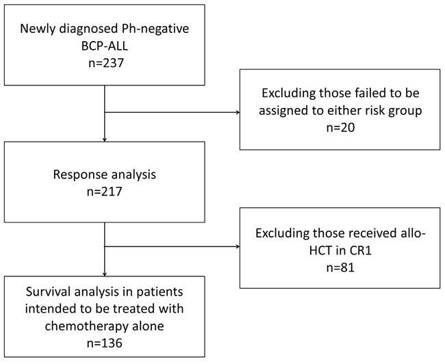 Study design: 237 consecutive patients aged &ge;18 and <65 years with a diagnosis of de novo Ph-negative BCP-ALL were included in the study.