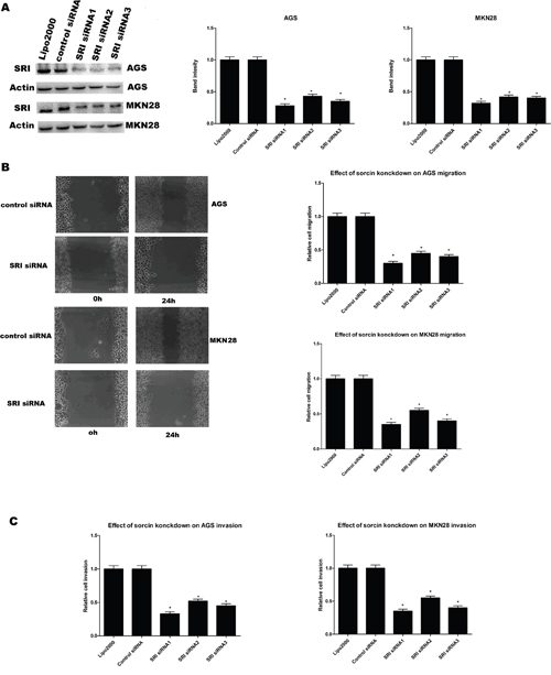 Figure 2: