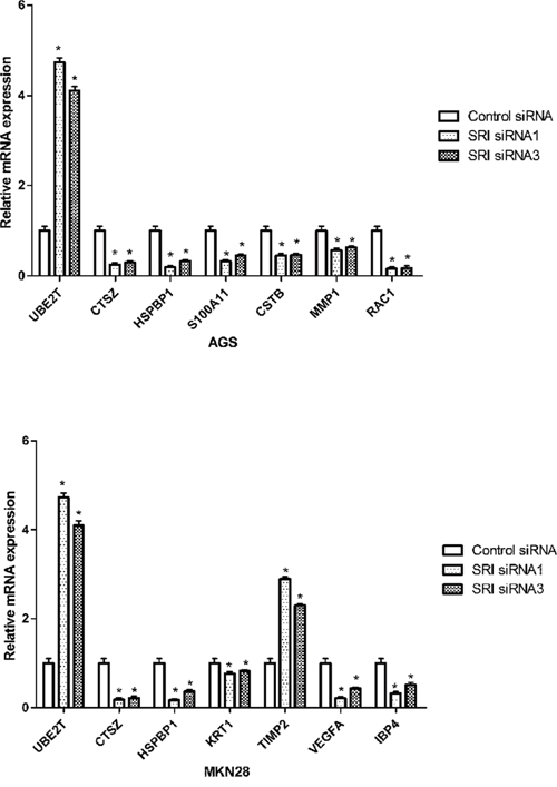 Validation of differentially expressed proteins in mRNA level.