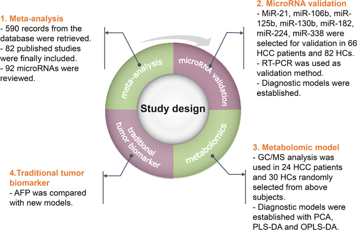 Study design.