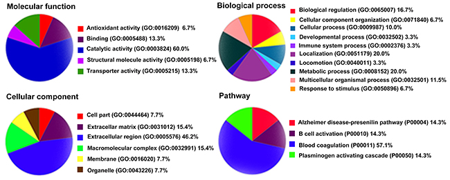 Gene ontology analysis of the 26 differentially expressed proteins by PANTHER.