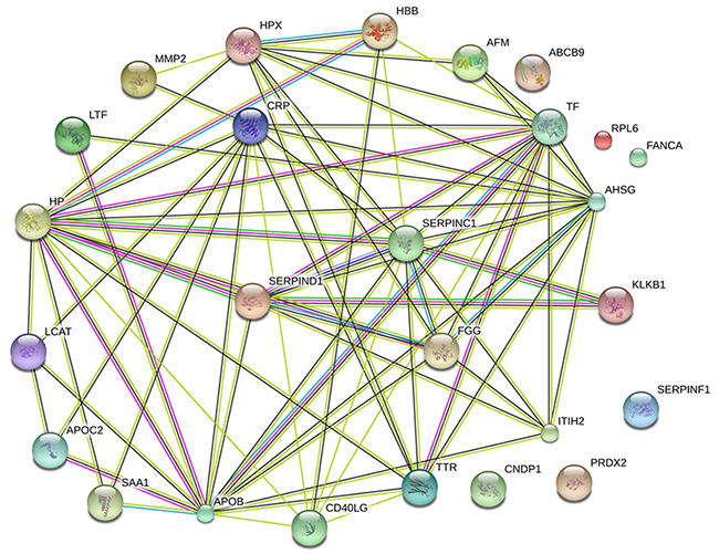 Protein-protein interactions between the 26 DEPs by STRING.