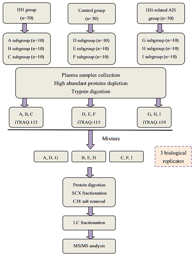A flow chart showing our iTRAQ-based LC-MS/MS proteomics approach.