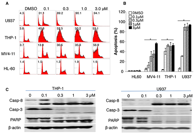 Apoptosis induction by NSC-743380.