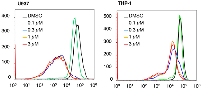 ROS status after NSC-743380 treatment.