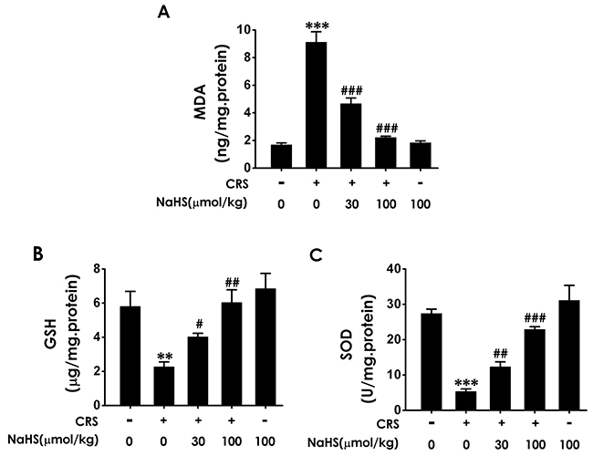 Effect of H2S on CRS-exerted hippocampal oxidative stress in rats.