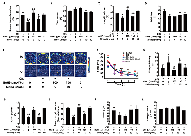 Effects of Sirtinol on H2S-meliorated the function of cognition in CRS-treated rats.