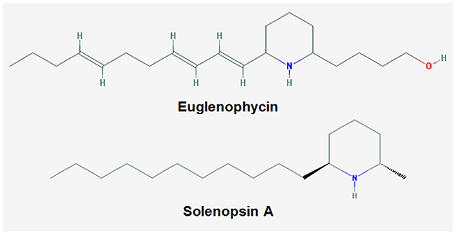 Chemical structures of euglenophycin and solenopsin A.