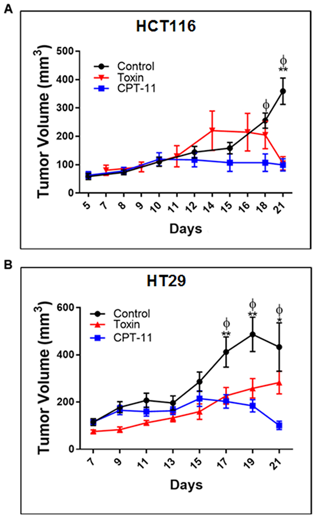 Euglenophycin inhibits in vivo tumor growth of colon cancer cells similarly as CPT-11 (standard chemotherapeutic) in mouse xenograft models.