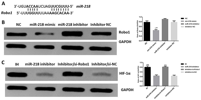 Figure 6: