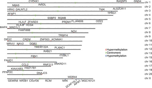 Fig 4: Chromosome graph of differentially methylated genes correlated with gene transcription.