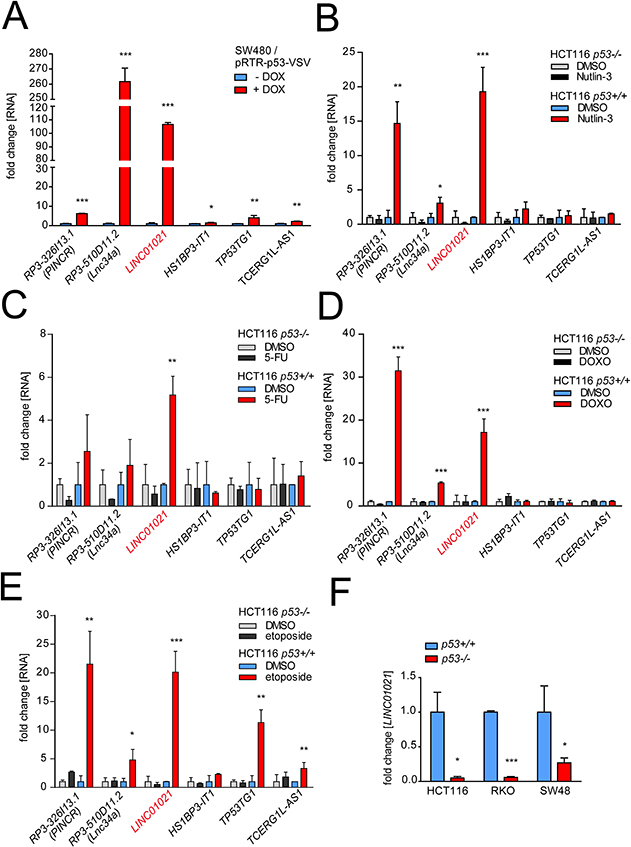 Comparative analysis of lncRNA regulation by p53 in CRC cell lines.