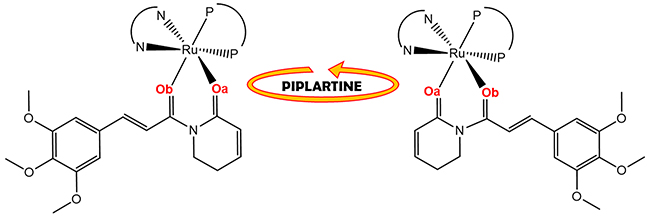 Representation of isomers resulting from bond rotation of piplartine around the metal center.