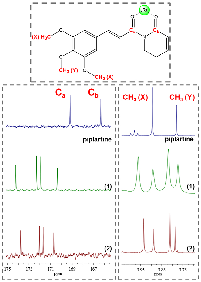 13C and 1H NMR spectrum of complexes 1 and 2 with amplification in the region of methoxyl group displaying the signal duplication, indicative of isomers (d6-acetone).