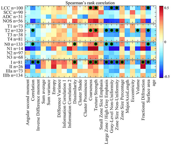 Heatmap of Spearman rank correlation between feature value and survival time, color-coded from -0.5 (dark blue) to 0.5 (dark red).