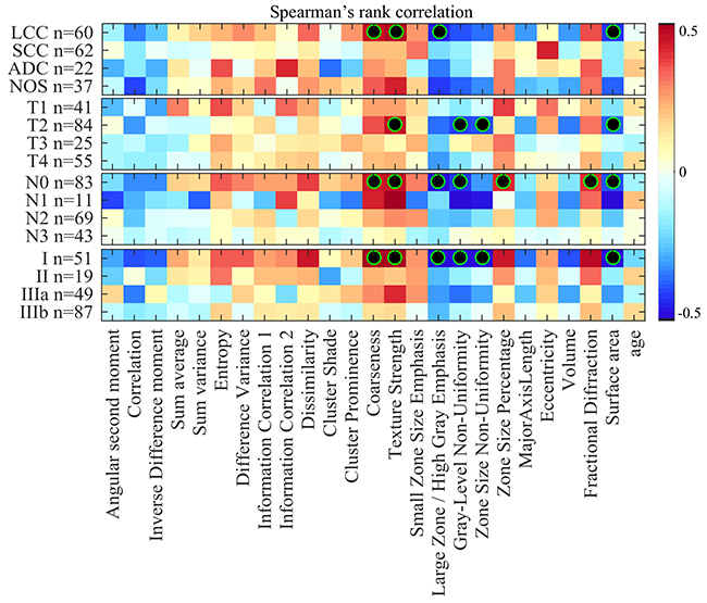 Figure 2:Heatmap of Spearman rank correlation between feature value and survival time of uncensored (i.e., deceased) patients, color-coded from -0.5 (dark blue) to 0.5 (dark red).