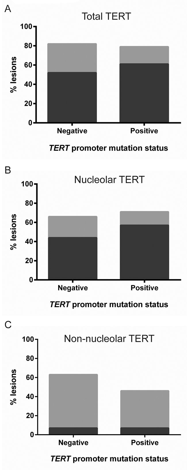TERT expression in primary melanomas with and without a TERT promoter mutation.