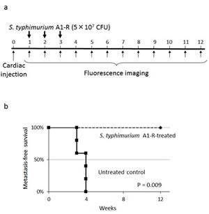 Efficacy of