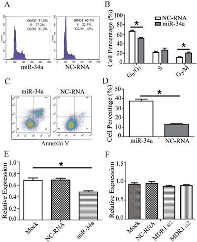 miR-34a effect on the drug-resistance changes of MDR-MCF-7 cells