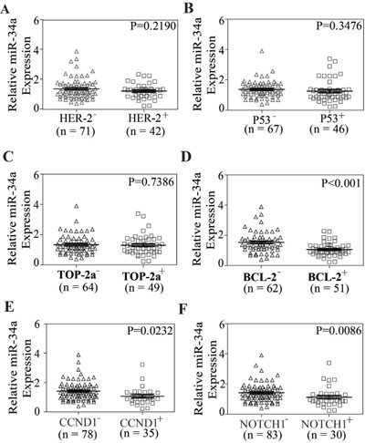 The relationship between miR-34a expression and the expression of HER-2, TOP2A, P53, BCL-2, CCND1, NOTCH1 in breast cancer tissue samples