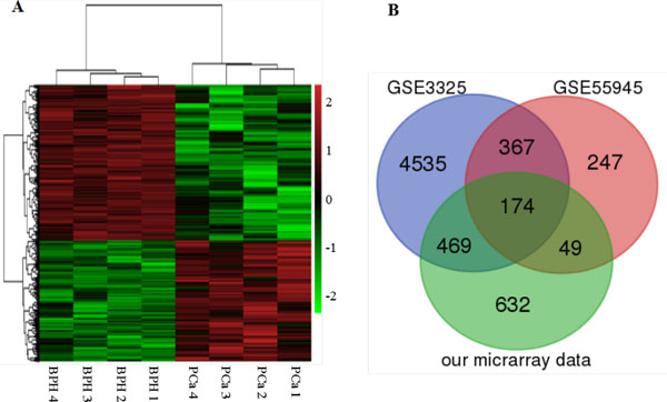 Heat map and Venn diagram showing expression gene profiles.