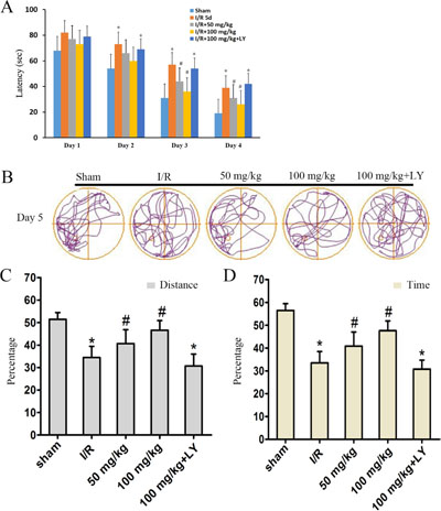 Puerarin ameliorated memory deficits in I/R rats.