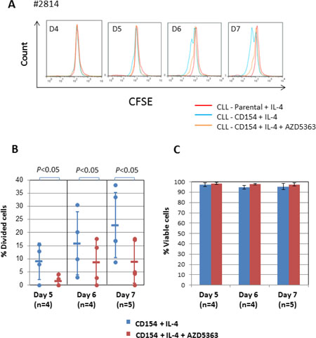 AKT is required for proliferation induced by CD154 + IL-4.