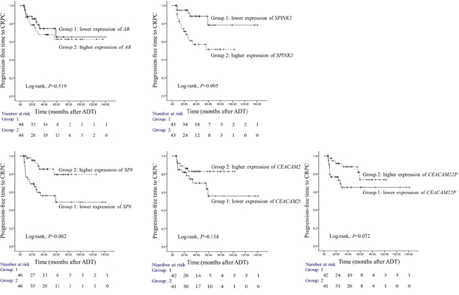 Prognostic usefulness of five genes that associated with progression from locally advanced or advanced prostate cancer (PC) to castration-resistant PC (CRPC).