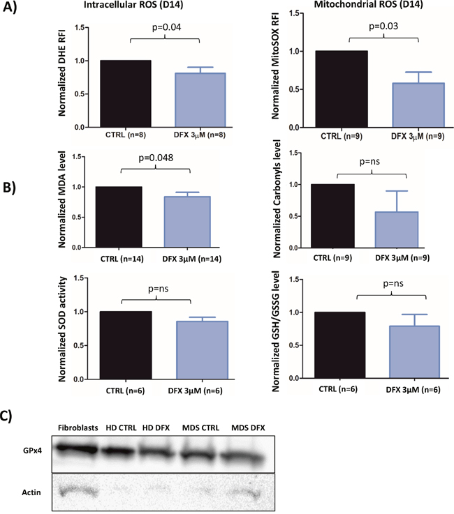 Figure 4: