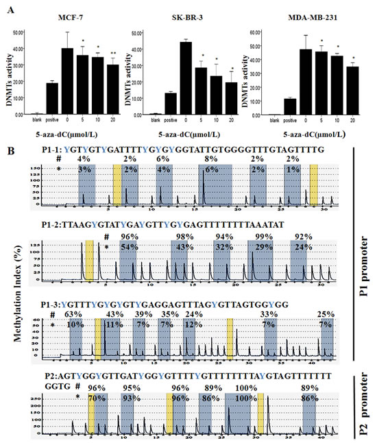 Effect of 5-aza-dC on DNMTs activity and Methylation status of P1 and P2 promoters.