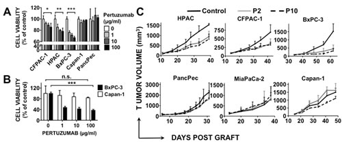 Effect of pertuzumab on HER3-positive or -negative pancreatic cancer cell lines.