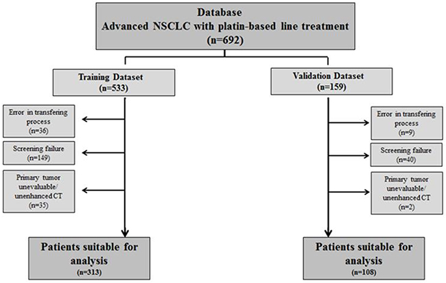 Patient flowchart.