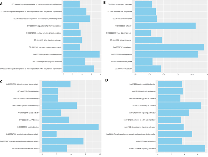 The top ten of GO term and pathway by target genes of three miRNA signature in BLCA patients.