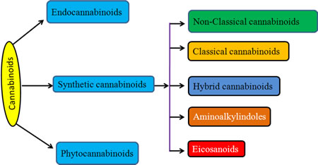 Fig.1: Cannabinoids and their classification.