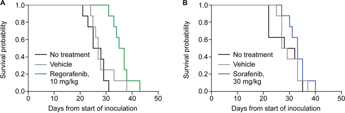 Survival of mice carrying orthotopic H129 liver tumors without treatment or treated with vehicle, regorafenib, or sorafenib.