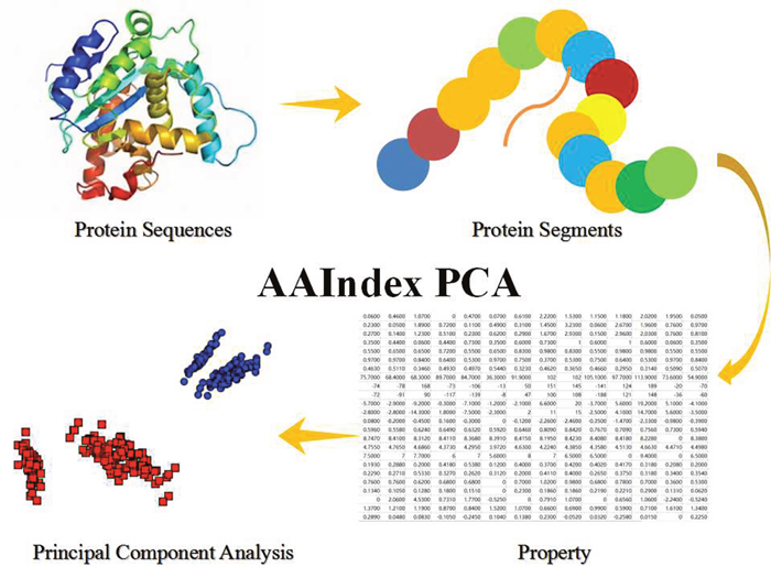 The Steps of AAIndex PCA Features.