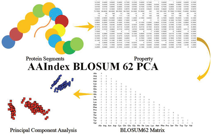 The Steps of AAIndex BLOSUM62 PCA Features.